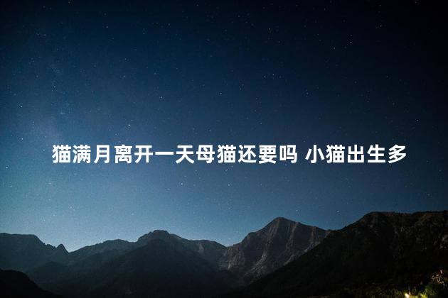 猫满月离开一天母猫还要吗 小猫出生多久离开母猫